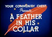 A Feather in His Collar