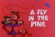 A Fly in the Pink