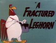 A Fractured Leghorn