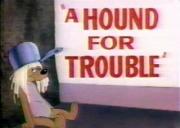 A Hound for Trouble