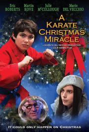 A Karate Christmas Miracle