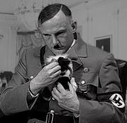 A Kitten for Hitler