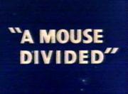 A Mouse Divided