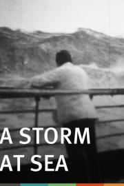 A Storm at Sea
