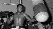 Ali: Still the Greatest