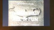 All in Fun