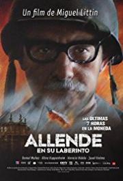 Allende en su laberinto