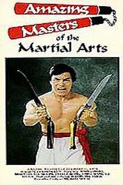 Amazing Masters Of Martial Arts