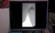Analog Goose