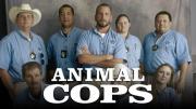 Animal Cops: Houston