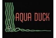 Aqua Duck