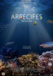 Arrecifes, oasis de vida