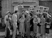 Aunt Bee the Crusader