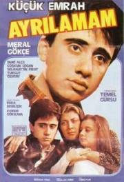 Ayrilamam