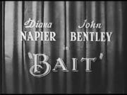 Bait