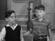 Beaver and Chuey