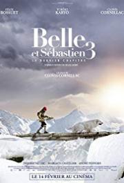 Belle and Sebastian, Friends for Life