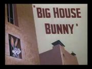 Big House Bunny
