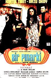 Bir Pinar Ki