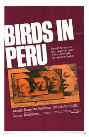 Birds in Peru