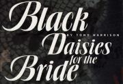 Black Daisies for the Bride