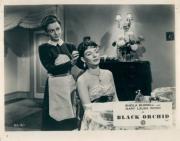 Black Orchid