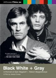 Black White + Gray: A Portrait of Sam Wagstaff and Robert Mapplethorpe