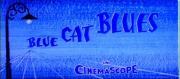 Blue Cat Blues