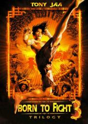 Born to Fight 2: Fighter\