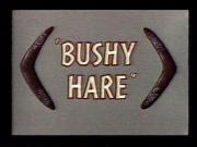 Bushy Hare