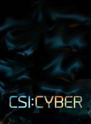 CSI: Cyber