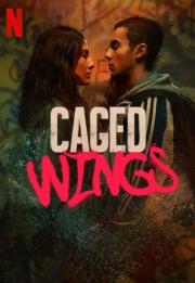 Caged Wings