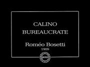 Calino bureaucrate