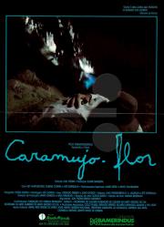 Caramujo-Flor