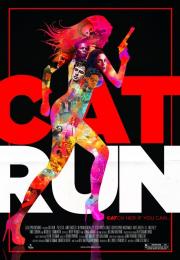 Cat Run