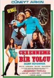 Cehenneme Bir Yolcu