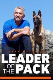 Cesar Millan\