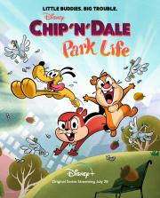 Chip \