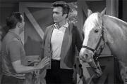 Clint Eastwood Meets Mister Ed