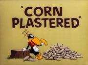 Corn Plastered