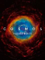 Cosmos: Possible Worlds