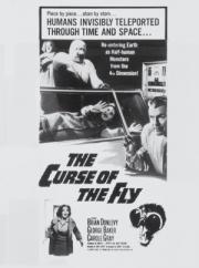 Curse of the Fly