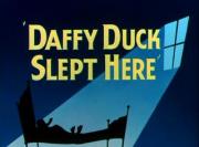 Daffy Duck Slept Here