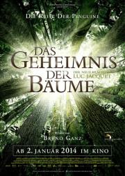 Das Geheimnis der Bäume