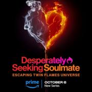 Desperately Seeking Soulmate: Escaping Twin Flames Universe