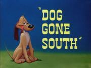 Dog Gone South