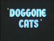 Doggone Cats