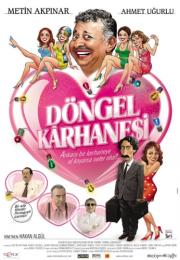 Döngel kârhanesi