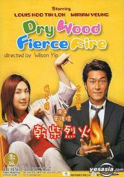 Dry Wood Fierce Fire