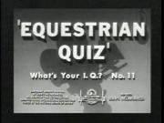 Equestrian Quiz: What\